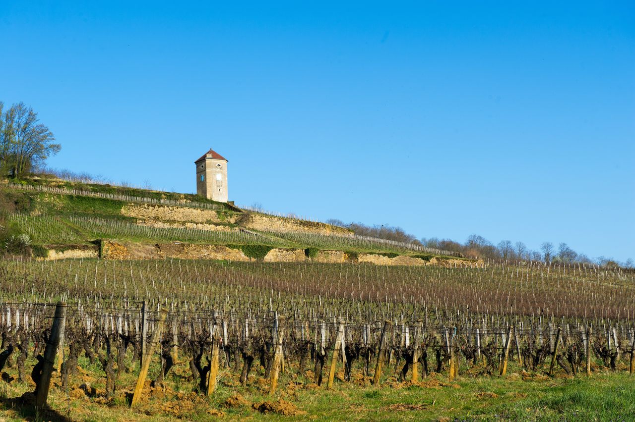 Communes Arbois Tour de Curon 0481